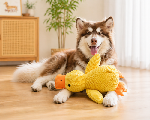 Duck Squeaky Dog Toy
