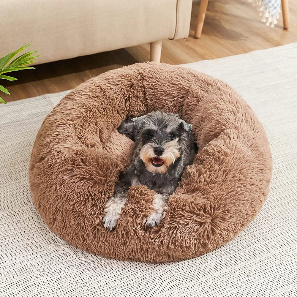 Calming Donut Dog Bed