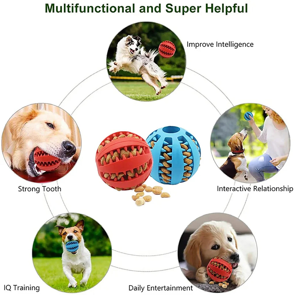 Interactive Treat Ball